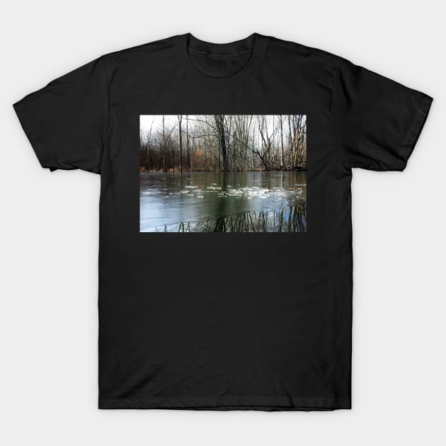 Frozen Lake with Winter Tree Reflections T-Shirt by 1Redbublppasswo